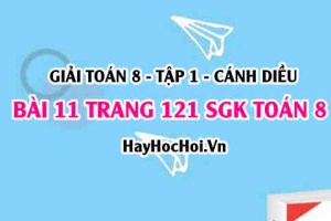 Giải bài 11 trang 121 Toán 8 Tập 1 SGK Cánh Diều